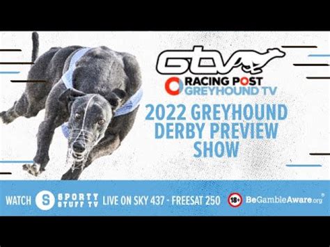 greyhound early prices|greyhound derby betting all bookies.